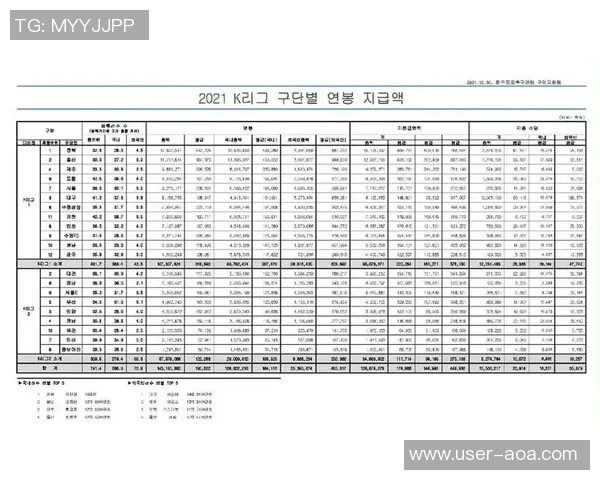 韩国足协2024年预算计划公布收入支出预期分析